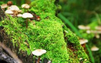 世界短跑线上对抗赛暑期特训营数据与战术评估发布，世界短跑锦标赛