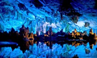 世界短道速滑教练交流视频资料库扩容上线，2021短道速滑教练是谁